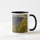 Search for west virginia state mugs New river gorge