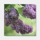 Search for spring love magnets Nature