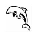 Search for dolphin rubber stamps Swimming