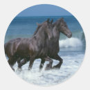 Search for friesian stickers Horse