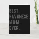 Search for havanese christmas cards Funny