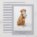 Search for striped background cards Cute