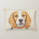 Search for beagle cushions Puppy