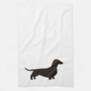 Search for dachsy Dachshund