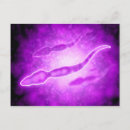 Search for cells postcards Healthcare