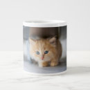 Search for fluffy mugs Kitten