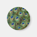 Search for pheasant magnets Peacock
