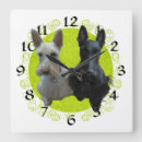 Search for scottish clocks Pets