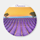 Search for provence magnets France
