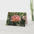 Search for horticulture cards Roses
