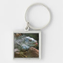 Search for gecko key rings Cute