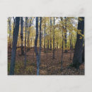 Search for woodland plants postcards Leaves