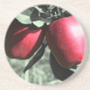 Search for apples coasters Black and white