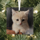 Search for orange kitten christmas tree decorations Cat