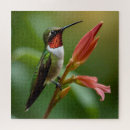 Search for hummingbird puzzles Nectar