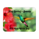 Search for hummingbird gifts Beautiful