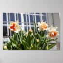 Search for spring design posters Flowers