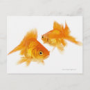 Search for creature other Animal