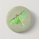 Search for entomology badges Moth