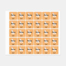 Search for cloths labels Girl