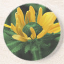 Search for susans barware Flower