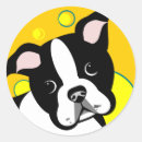 Search for boston terrier stickers Black and white