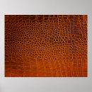 Search for crocodile posters Abstract