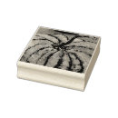 Search for thanksgiving rubber stamps Autumn