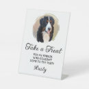 Search for cat wedding signs Pet