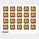 Search for bouguereau stickers Madonna