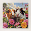 Search for pig puzzles Guinea pigs