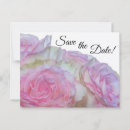 Search for rose macro postcards Nature