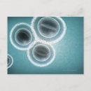 Search for structures postcards Medical