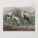 Search for indian art postcards Illustration