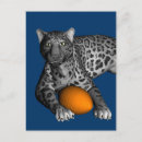 Search for panthers postcards Sports