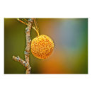 Search for pods posters Macro