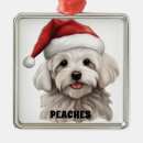 Search for maltese christmas tree decorations Cute