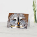 Search for owl watercolor cards Owls