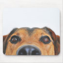 Search for dog picture mousepads Pet