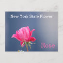 Search for new york state postcards Tourism