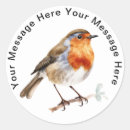 Search for songbird stickers Robin