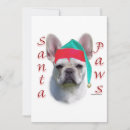 Search for french bulldog thank you cards Frenchie
