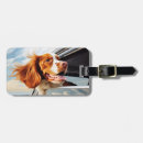 Search for brittany spaniel accessories Puppy