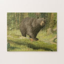 Search for black bear puzzles Nature