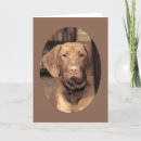 Search for vizsla cards Puppy