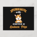 Search for cute pig postcards Guinea pigs
