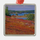 Search for east coast christmas tree decorations Nature