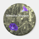 Search for miracles magnets Inspirational