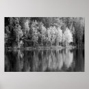 Search for reflective posters Black