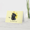 Search for black pug cards Puppy